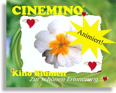 Cinemino Animation Kino Blume 1 eine ganz bezaubernde Geschenkidee